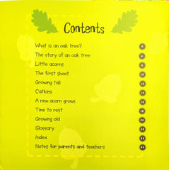 Life Cycles Combo Set 5 (3 Books)