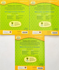 Biff Chip and Kipper Set 3 : Level 6 (3 Books)
