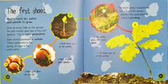 Life Cycles Combo Set 5 (3 Books)