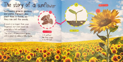 Life Cycles Combo Set 5 (3 Books)