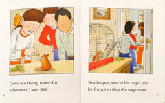 Biff Chip and Kipper Set 4 : Level 4 (3 Books)