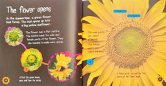 Life Cycles Combo Set 5 (3 Books)