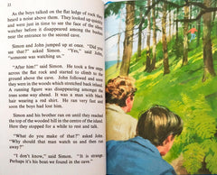 The Holiday Camp Mystery (Key Words)