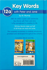 The Holiday Camp Mystery (Key Words)