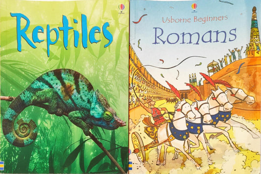 Usborne Begineers Combo 5 (2 Books)