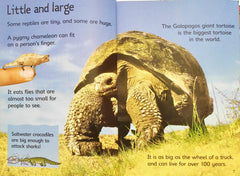 Usborne Begineers Combo 5 (2 Books)