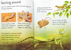 Usborne Begineers Combo 5 (2 Books)