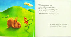 Little Rabbit Couldn't Sleep