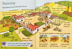 Usborne Begineers Combo 5 (2 Books)