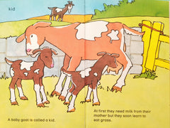 Baby Animals