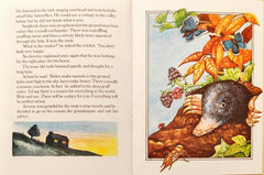 The Story of Jeremy Cricket