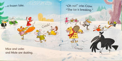 Usborne Phonics Reader Combo Set 17 (5 Books)