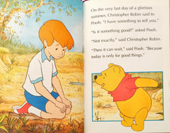 Dinsey Winnie the Pooh The Most Grand Adventure