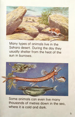 Animals (Ladybird Learners)