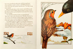 The Story of Robin RedBreast