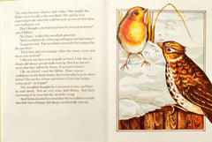 The Story of Robin RedBreast
