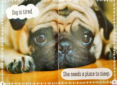 You Can't Sleep Here! (I'm Reader!)