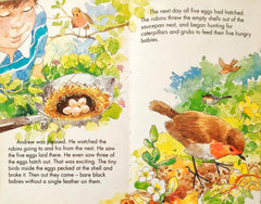 Andrew's Robin (Enid Blyton)