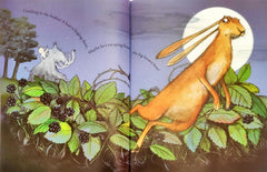 Julia Donaldson Combo Set 49 (2 Books)