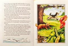 The Story of Charlotte the Caterpillar