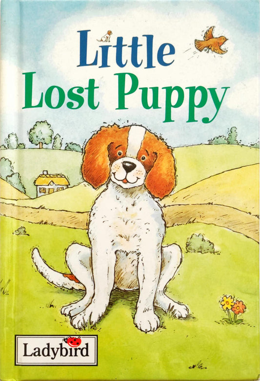 Little Lost Puppy