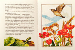 The Story of Charlotte the Caterpillar