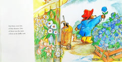 Paddington at the Rainbow's End