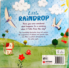 Little Raindrop