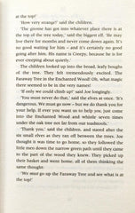 The Enchanted Wood (Enid Blyton)