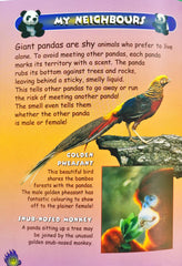 My Animal Kingdom Panda