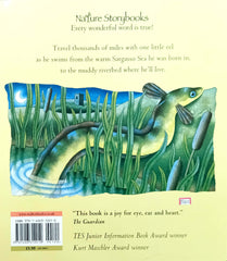 Think of an Eel