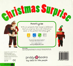Christmas Surprise (Slide and Find Book)