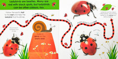 Follow the Trail Minibeasts (Fun Finger Trails ! )