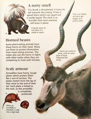 The Usborne Little Encylopedia of Animals