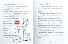 Chapter Books with Activities Set, Age 6+ (5 Books/Pocket Size Book)