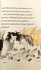 Usborne Fairy Unicorns (Young Reading)