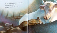 Adventure Picture Book Set, Age 3+ (4 Books)