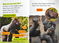 Gorillas Teresa Heapy