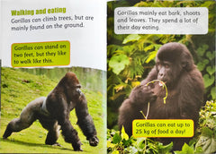 Gorillas Teresa Heapy