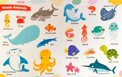 Learning My First Animals Board Book