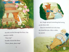 Bramble and Maggie Early Reader Set, Age 6+ (4 Books)