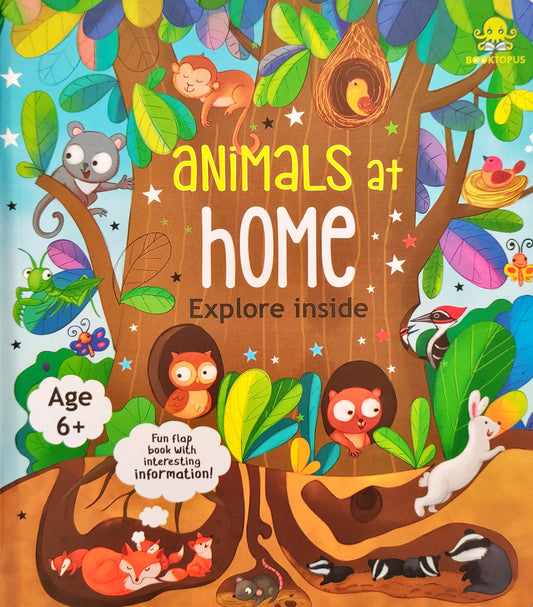 Animal at Home Explore Inside (Flap Book)