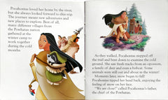 Disney Princess The Winter Journey (Pocket Friendly Book)