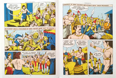 Vikramaditya (Bravehearts)