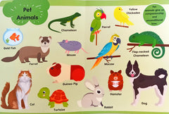 Let's Learn About Amazing Animals (Book 4)