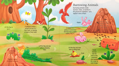 Animal at Home Explore Inside (Flap Book)