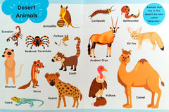 Let's Learn About Amazing Animals (Book 4)