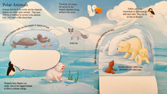 Animal at Home Explore Inside (Flap Book)