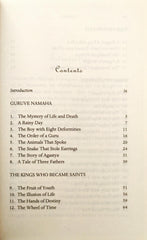 The Sage with Two Horns (Sudha Murty)