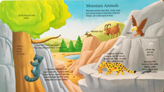 Animal at Home Explore Inside (Flap Book)